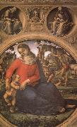 Luca Signorelli The Madonna and the Nino with prophets oil painting artist